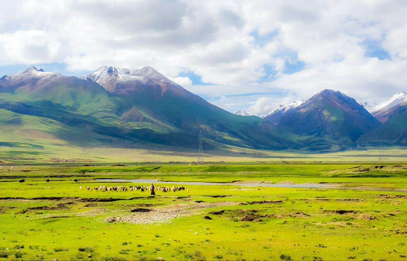 扒一扒：發(fā)電機(jī)組如何在高原上使用？